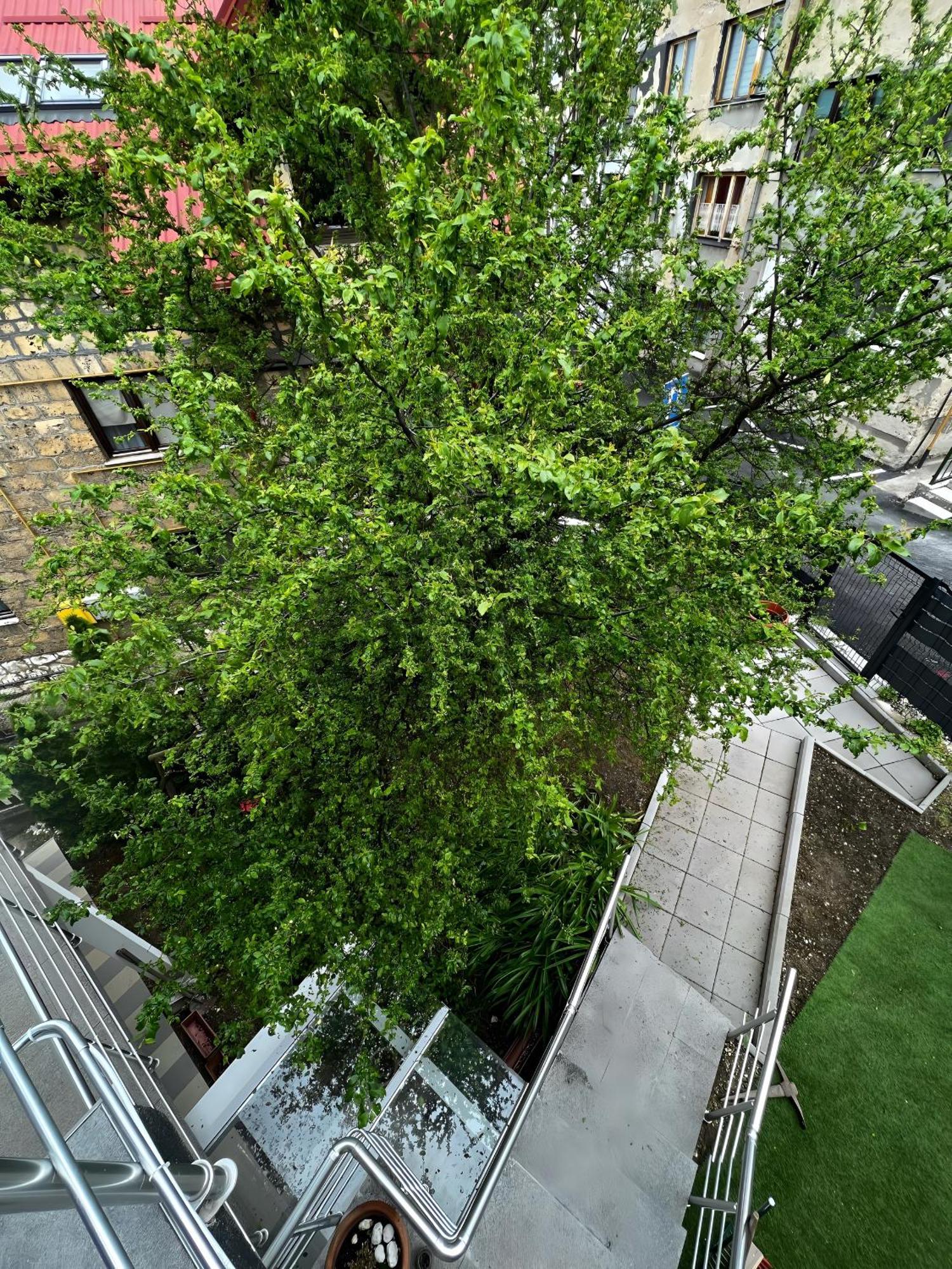 No1 Lux Apartment In Heart Of SJJ Exterior photo